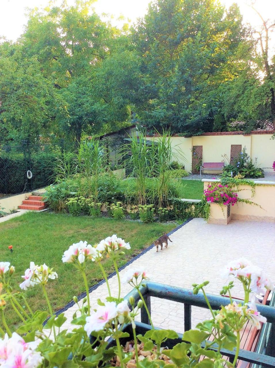 Apartament Amaryllis Krakow Exterior photo